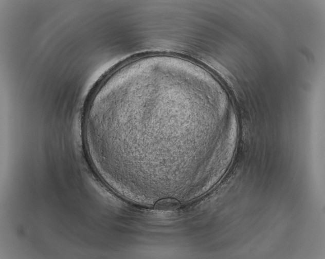 X0000113241120200910011320