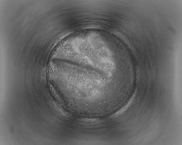 X0000113241121200910011320