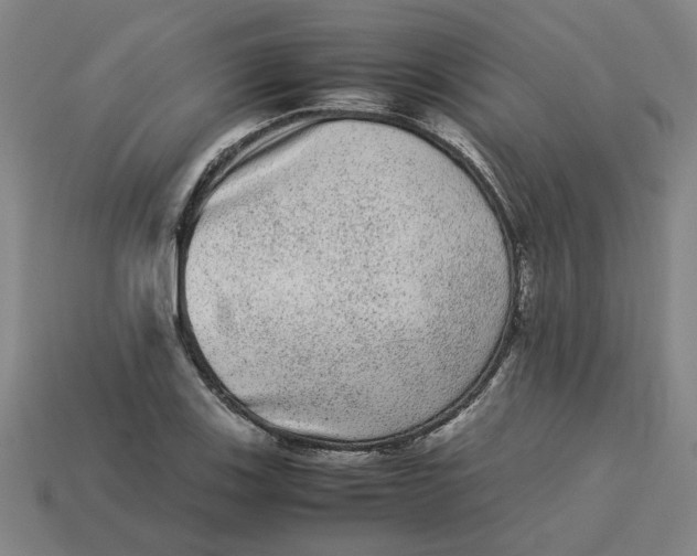 X0000113241123200910011320