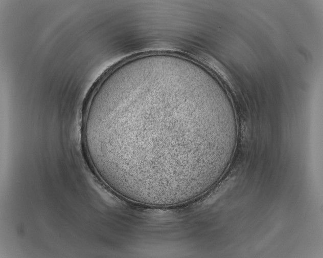 X0000113241124200910011321