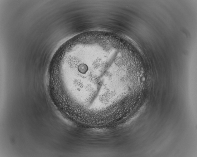 X0000113241125200910011321