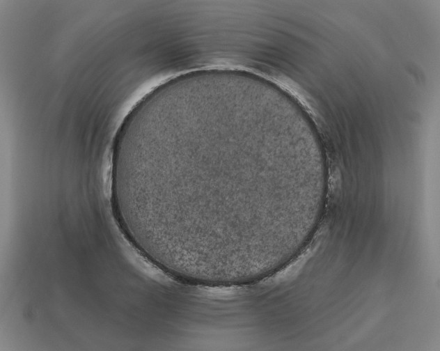 X0000113241126200910011321