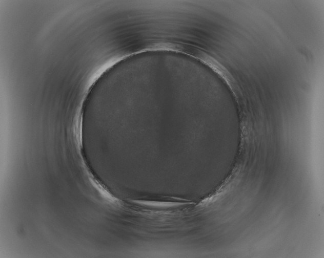 X0000113241127200910011321