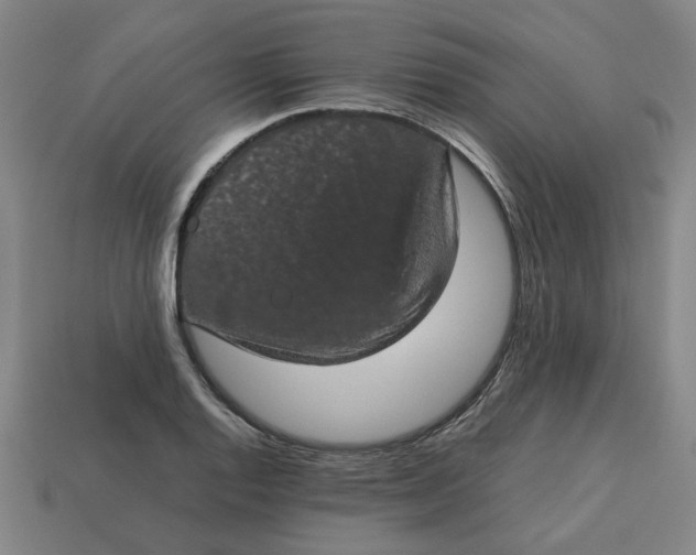 X0000113241128200910011321