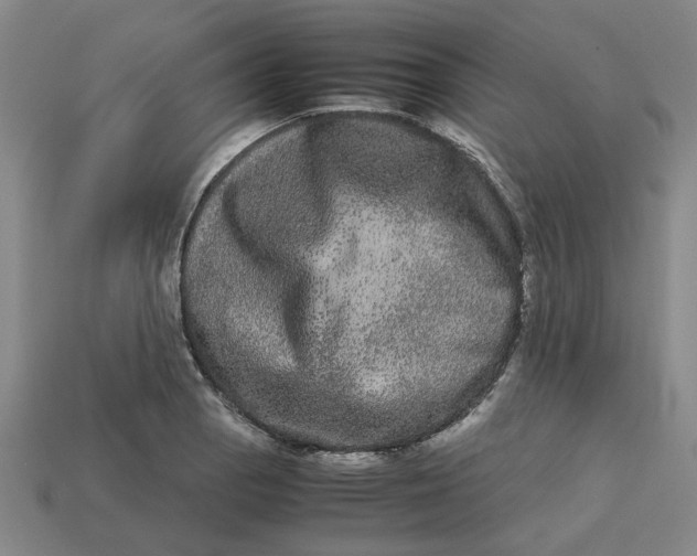 X0000113241129200910011321