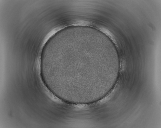 X0000113241130200910011321