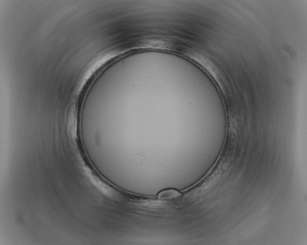 X0000113241131200910011321