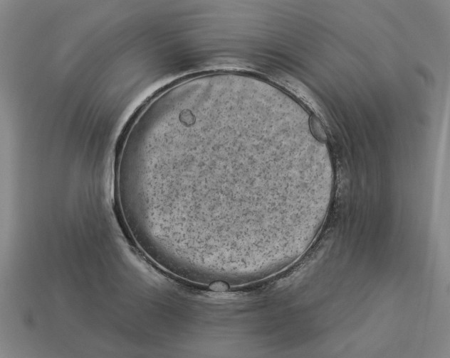 X0000113241132200910011321