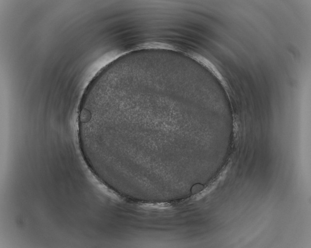 X0000113241133200910011321