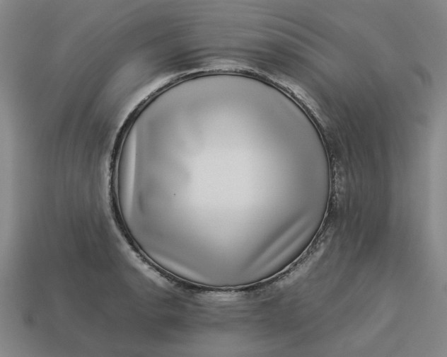 X0000113241134200910011321