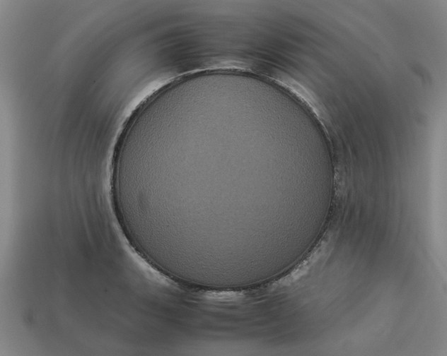 X0000113241135200910011321