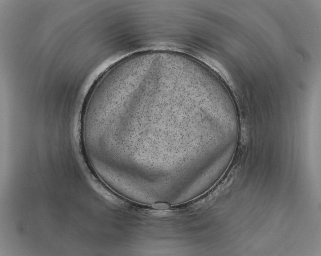 X0000113241136200910011321