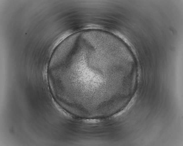 X0000113241137200910011321