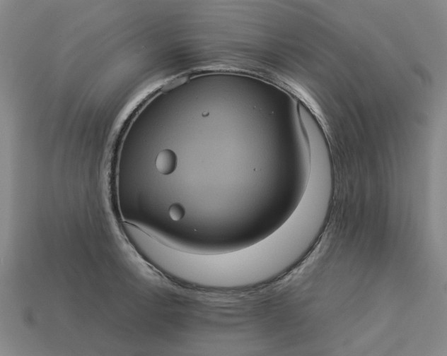 X0000113241138200910011321