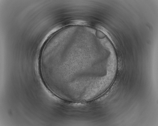 X0000113241139200910011321