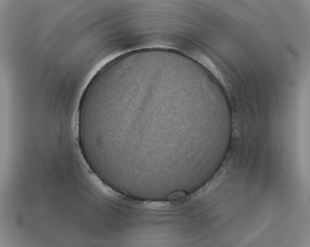 X0000113241140200910011321