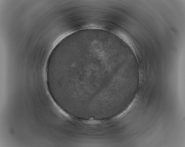 X0000113241141200910011321