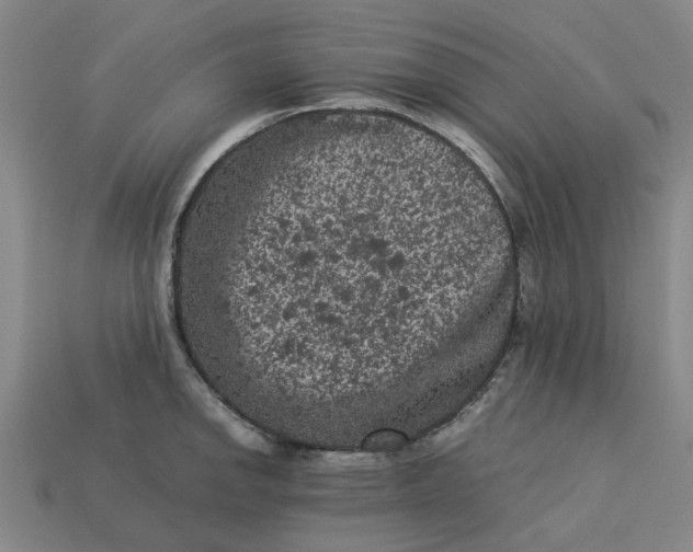 X0000113241142200910011321