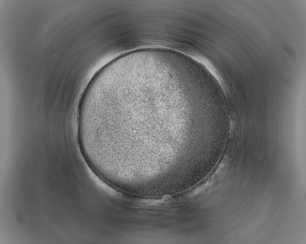 X0000113241143200910011321