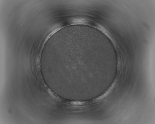 X0000113241145200910011321