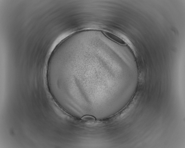 X0000113241146200910011321