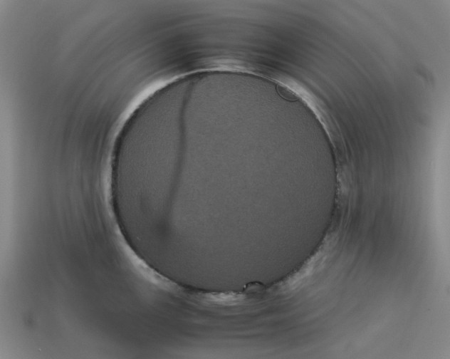 X0000113241147200910011321