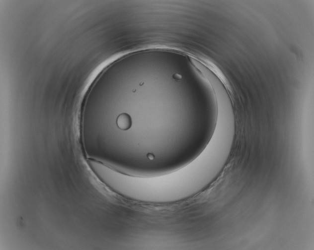 X0000113241148200910011321