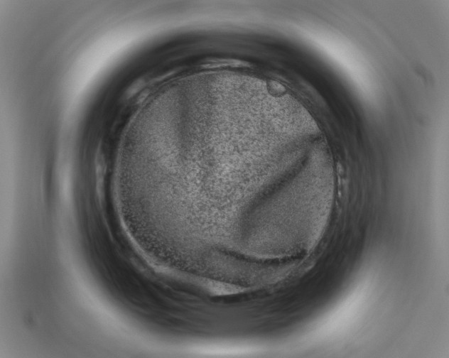 X0000113241151200910011321