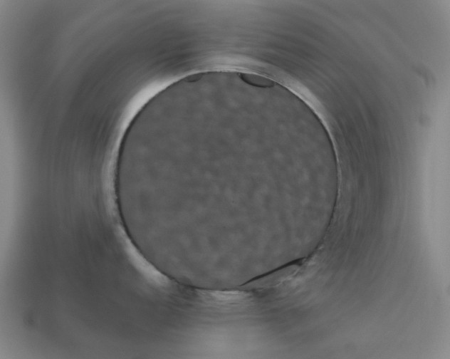 X0000113241152200910011321