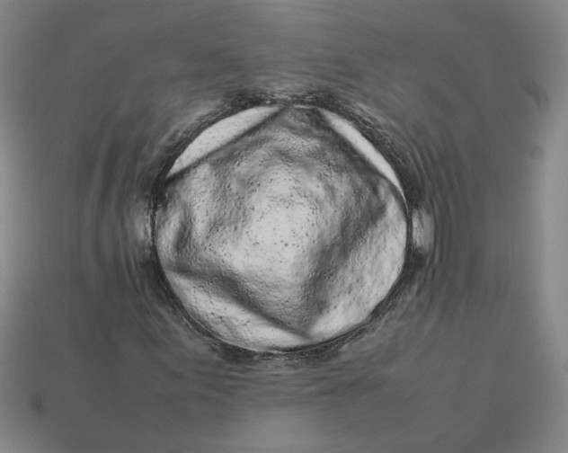 X0000113241155200910011320