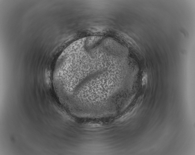 X0000113241156200910011320