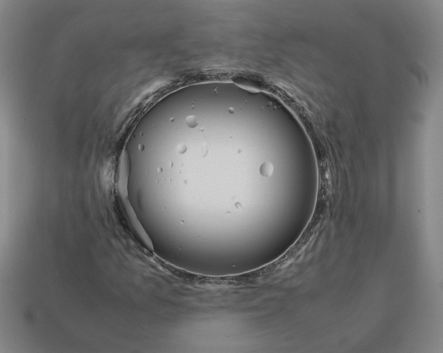 X0000113241157200910011320