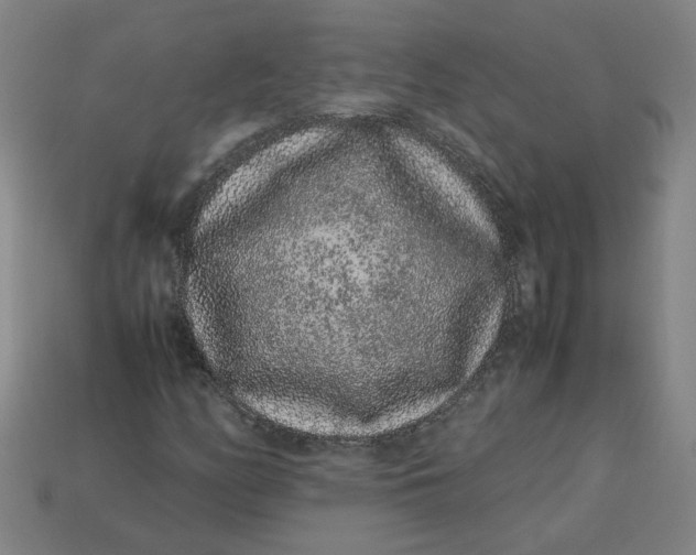 X0000113241158200910011320