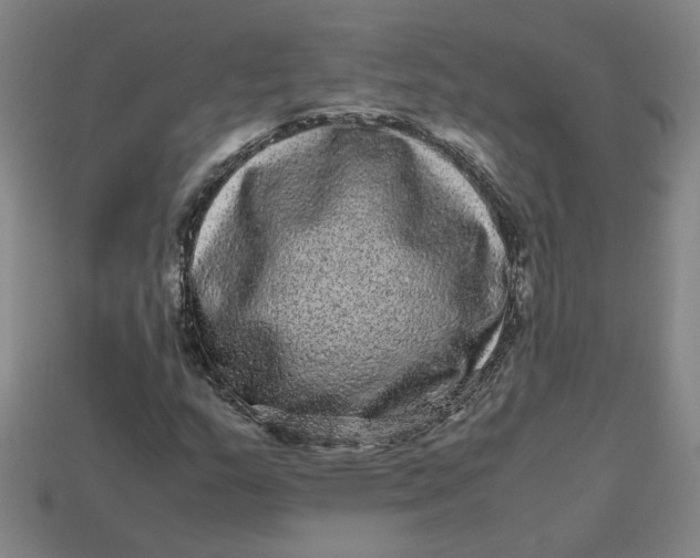 X0000113241159200910011320