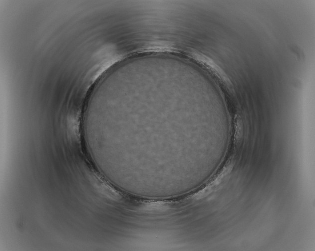 X0000113241162200910011320