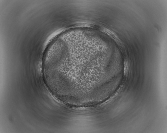 X0000113241164200910011320