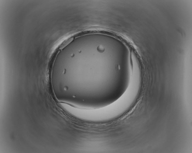 X0000113241167200910011320