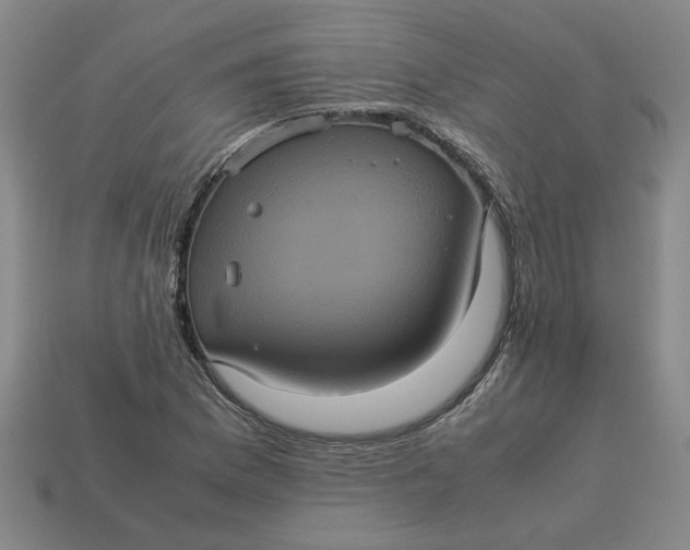 X0000113241169200910011320