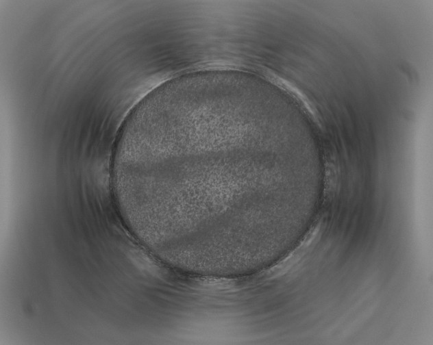 X0000113241170200910011320