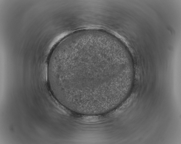 X0000113241171200910011320