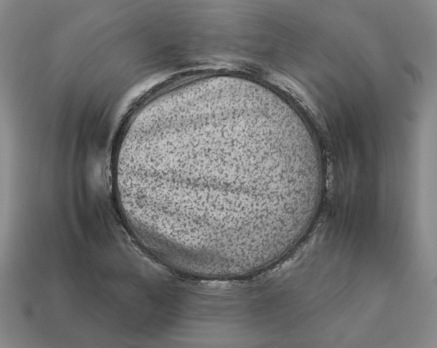 X0000113241172200910011320