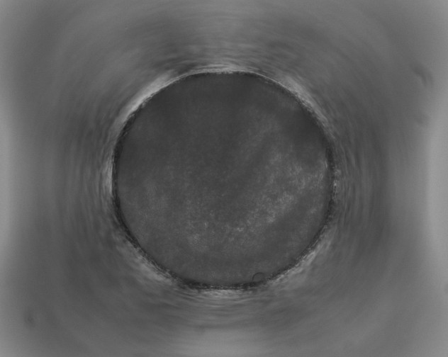 X0000113241173200910011320