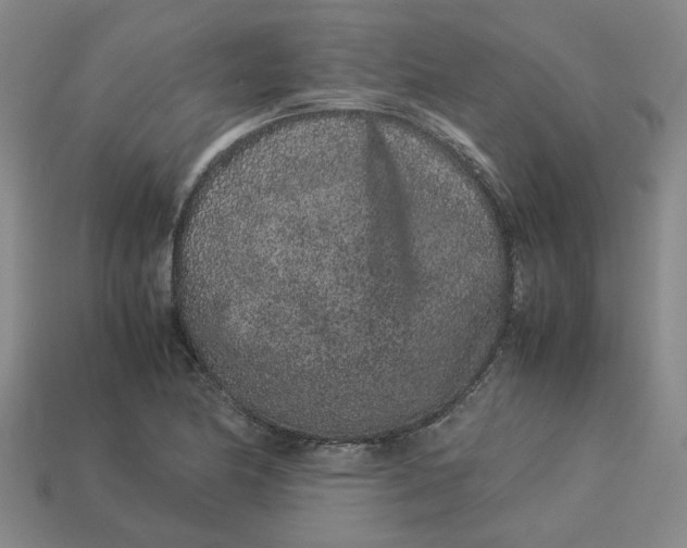 X0000113241174200910011320