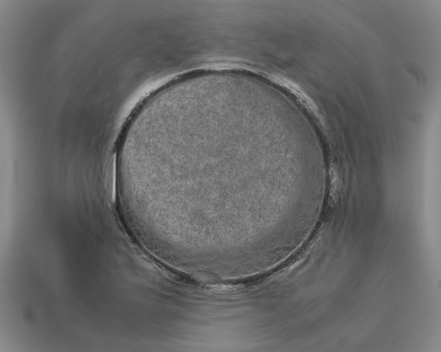 X0000113241175200910011320