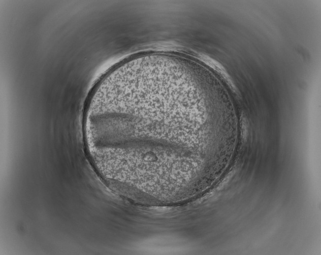 X0000113241176200910011320