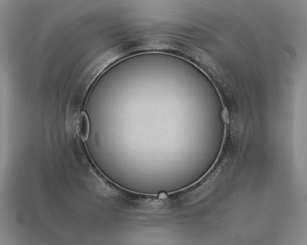 X0000113241177200910011320