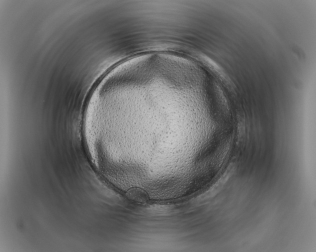 X0000113241178200910011320