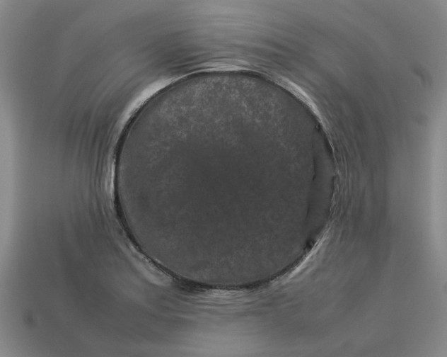 X0000113241179200910011320