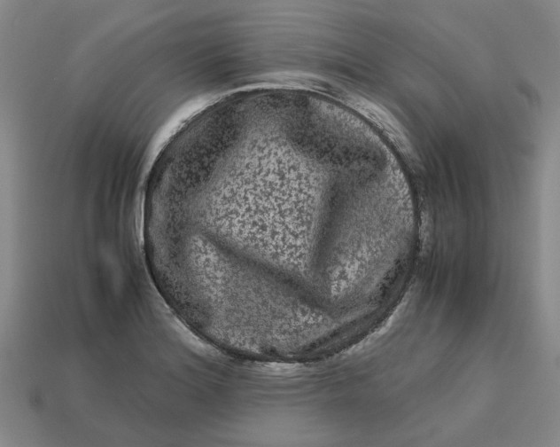 X0000113241180200910011320