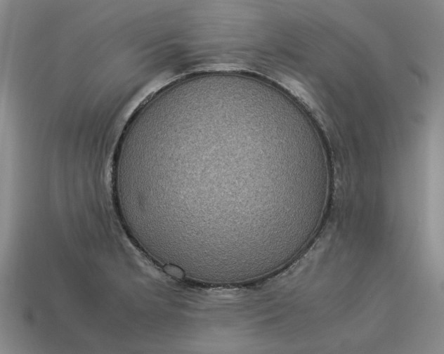 X0000113241181200910011320